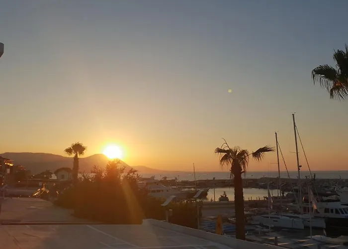 The Belvedere Marina *